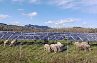 Oregon State University Breaks Ground On 326 KW Agrivoltaic Research