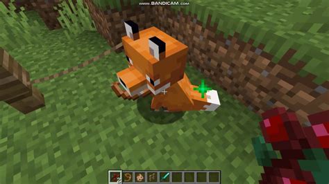 Unlock The Secret To Taming The Elusive Fox A Minecraft Masterclass