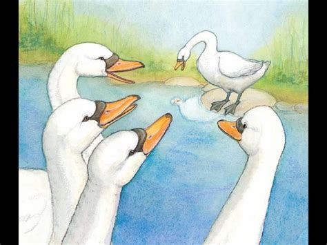 Ugly Duckling Swan Cartoon Swan Cartoon 4 Of 102 Depp My Fav