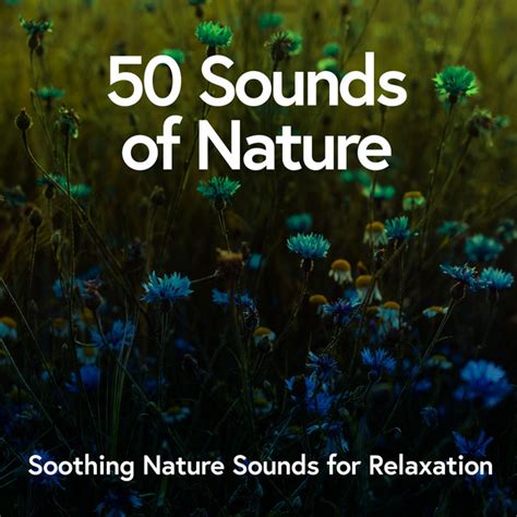 50 Sounds Of Nature Soothing Nature Sounds For Relaxation Album By