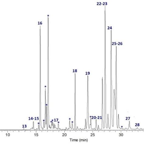 Extracted Ion Chromatogram Of The Main Metabolites Identified In Obhex