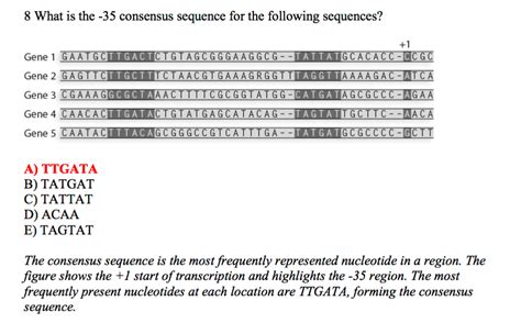 Consensus Sequences Hromanswer