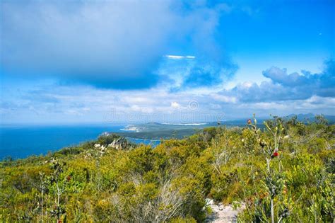 View From Mount Barren Fitzgerald River National Park Western