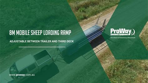 Proway 80m Mobile Adjustable Sheep Loading Ramp Youtube