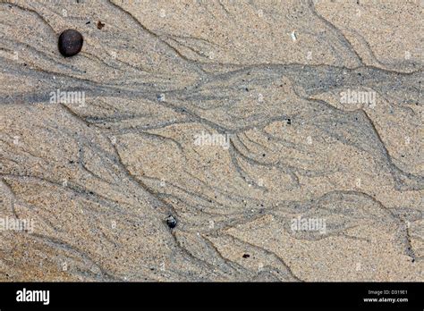 Watermark Texture Hi Res Stock Photography And Images Alamy