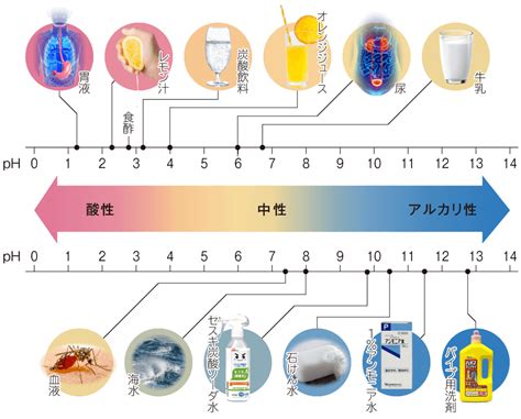 Ph Kkatakaのscrapbox