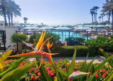 Luxury Family Escape: Waldorf Astoria Monarch Beach Resort - California ...