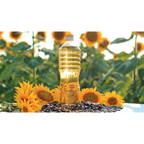 Sunflower Oil Market Global Industry Analysis Size Share Growth