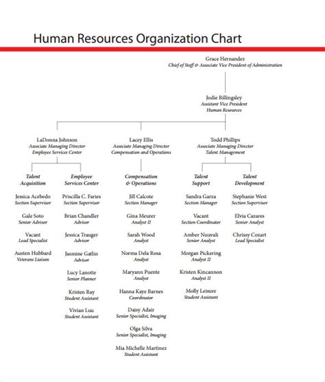 Free 15 Sample Human Resources Organizational Chart Templates In Pdf