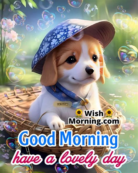 Good Morning Dog Images - Wish Morning