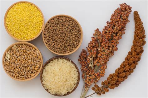 Ramita De Mijo Rojo Y Sorgo Trigo Sarraceno Mijo Arroz Trigo En