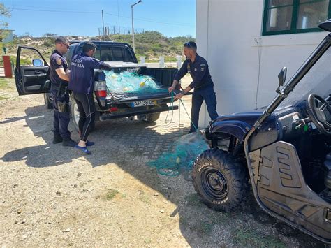 Pol Cia Mar Tima Apreende Quatro Redes Majoeiras Em Leiria