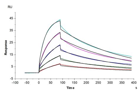 Recombinant Human PD 1 Protein 10377 H08H B Sino Biological