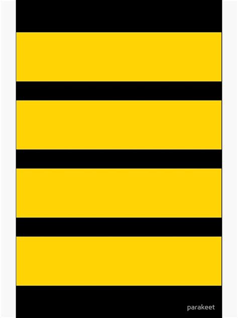 "Pilot Captain Stripes" Canvas Print by parakeet | Redbubble