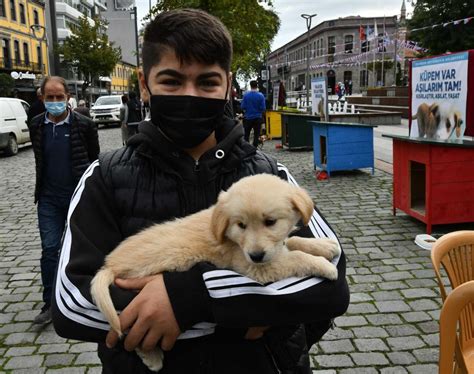 Trabzonda Ekim D Nya Hayvanlar Koruma G N Etkinlikleri Trabzon