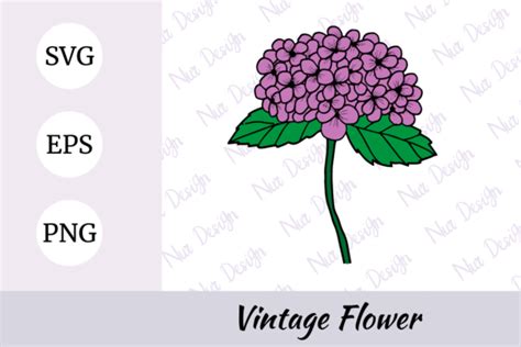 Hydrangea Flower Illustration Svg Graphic By Nurdesign99 · Creative Fabrica