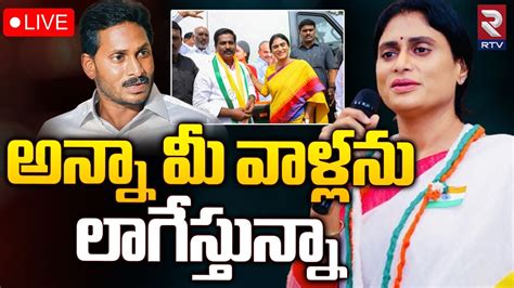 YCP MLA MS Babu Joins In CONGRESS LIVE అనన మ వళలన లగసతనన