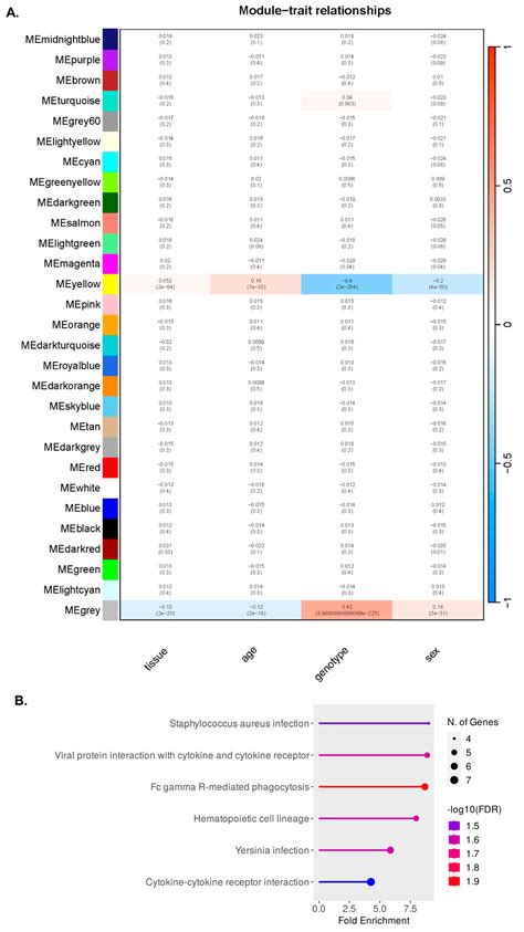 Ijms Free Full Text Age Dependent Sex Differences In Perineuronal