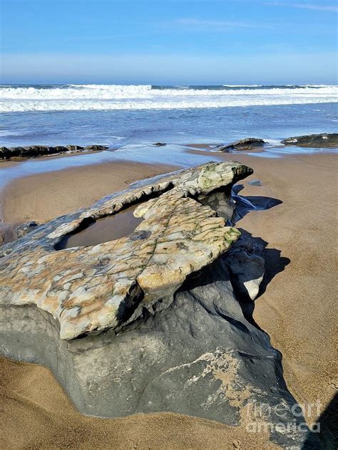 Ocean Floor Artwork Photograph by Wendy Raatz Photography - Fine Art ...