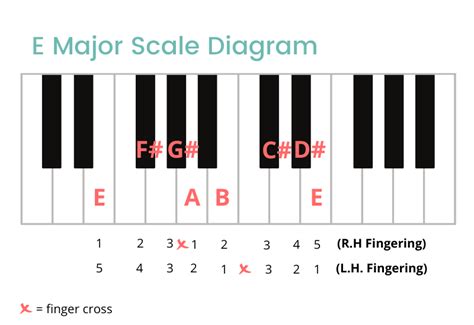 E Major Scale on the Piano - notes, Fingerings & More