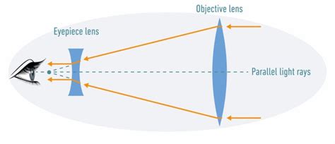 How To Choose A Monocular Youll Love Optics Mag