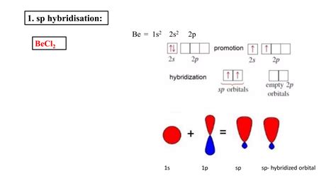 Hybridization | PPT