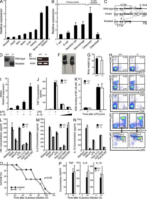 Sbno Is Dispensable For Tlr Signaling A And B The Indicated Organs