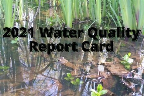 Lunch N Learn Water Quality Report Card Gswa