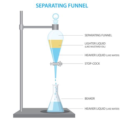 Separating Funnel Used To Seperate Two Immiscible Solvent Phases Vector