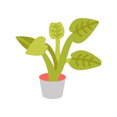 Alocasia Portadora icon in vector. Logotype 40345406 Vector Art at Vecteezy