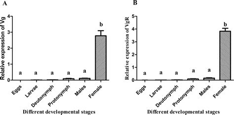 Expression Of Target Genes Pcvg And Pcvgr In Different Developmental Download Scientific