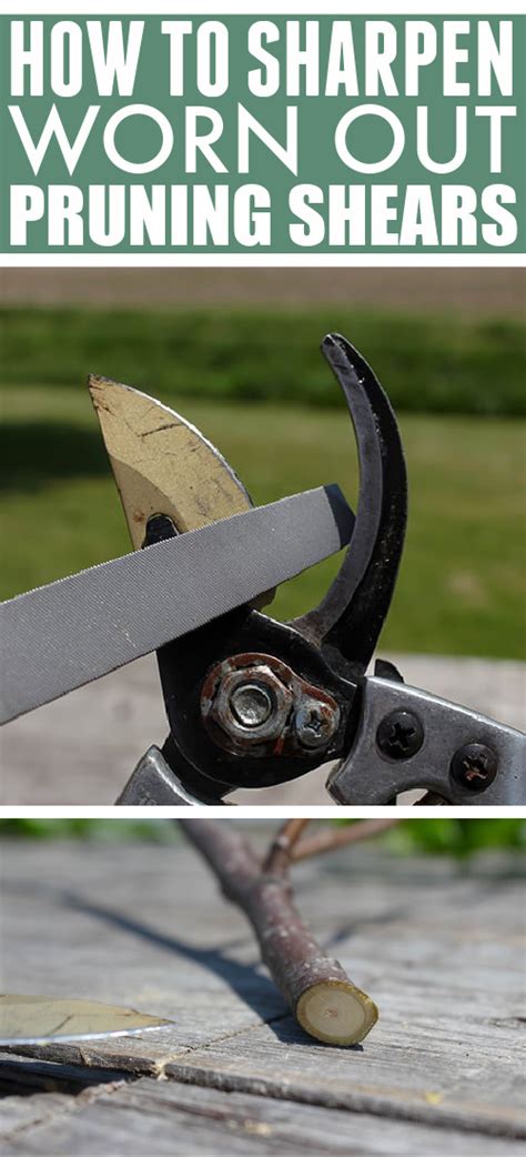 How To Sharpen Hedge Clippers And Pruning Shears The Creek Line House