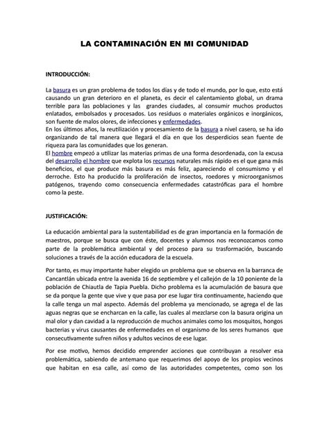 La contaminación en mi comunidad by Itzel Toledano Perez Issuu