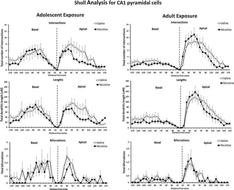 Sholl Analysis Morphometric Parameters Of Apical And Basal Trees In