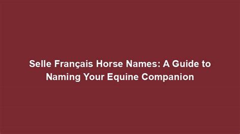 Selle Français Horse Names: A Guide to Naming Your Equine Companion ...