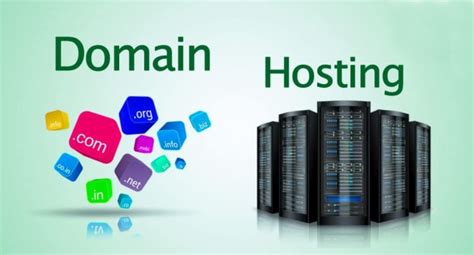 How To Use Domain Hosting For Your Business Vixus