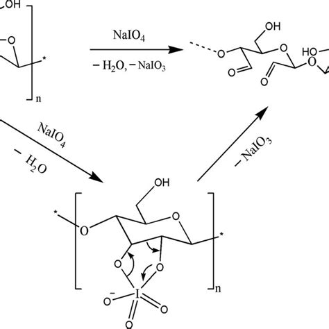 Depiction Of Crosslinking Reaction Scheme Between Cho Groups Of Dac