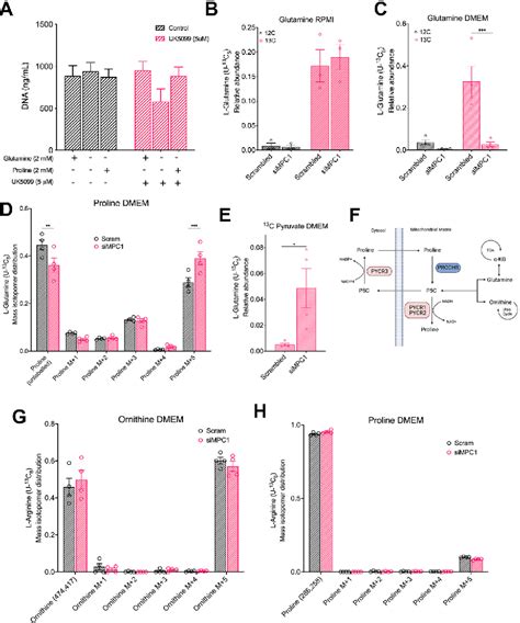 Figure 1 From Loss Of Mitochondrial Pyruvate Carrier 1 Supports Proline