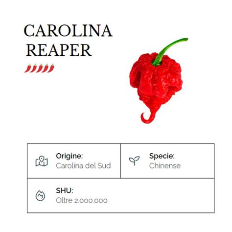 Mr Pic Polvere Di Peperoncino Carolina Reaper Gr