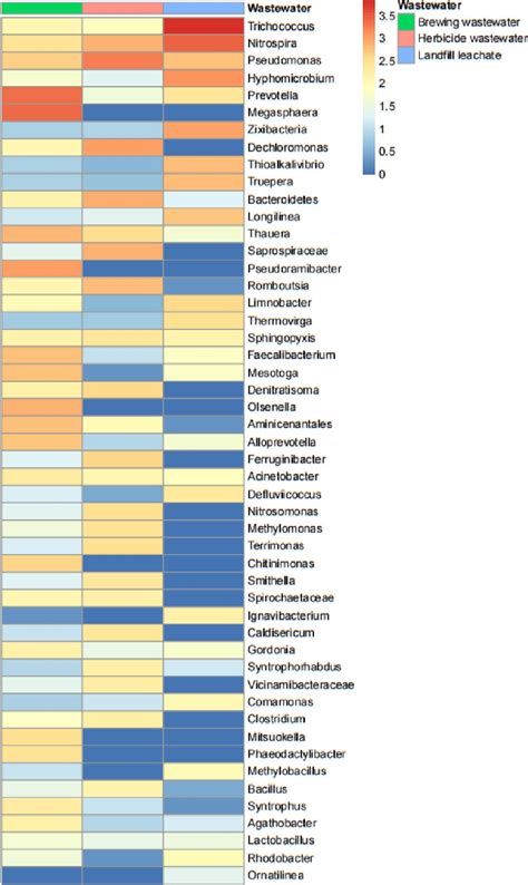 Otu Abundance Clustering Heat Maps Of The Three Sewages At The Genus Download Scientific