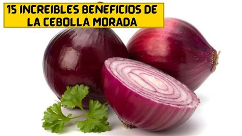 Propiedades De La Cebolla Morada Para La Salud Del Cuerpo Hot Sex Picture