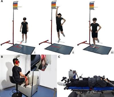 Frontiers Deficits In Proprioception And Strength May Contribute To