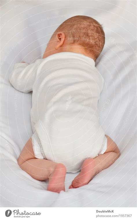 The Back Of A Baby S Head Lying On Its Stomach A Royalty Free Stock