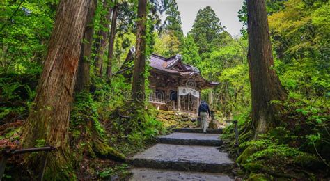 Templo Antiguo En El Bosque En Tohoku Japón Imagen de archivo Imagen