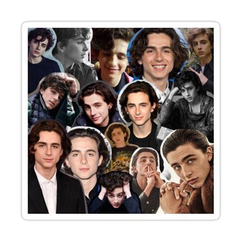 timothée chalamet collage old version Sticker by billowyblue