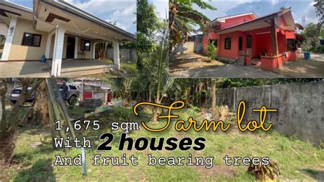 V227 23 1 675 Sqm Farm Lot With 2 Houses Mountain View And Fruit