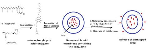 Schematic illustration of the proposed mechanism of action of ...