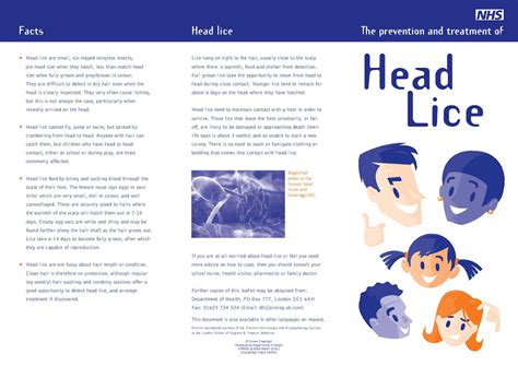 Head Lice Crayke Primary School