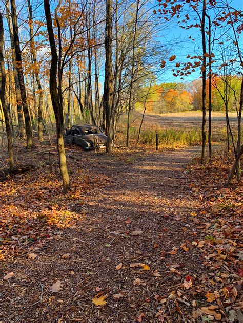 Fall in Love with Fall Trail Running