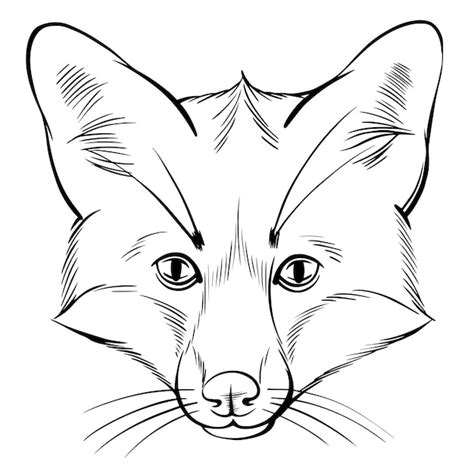 Premium Vector | Black and white vector portrait of fox isolated on white background